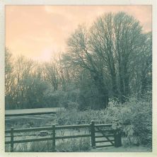 winter scene explored.jpg